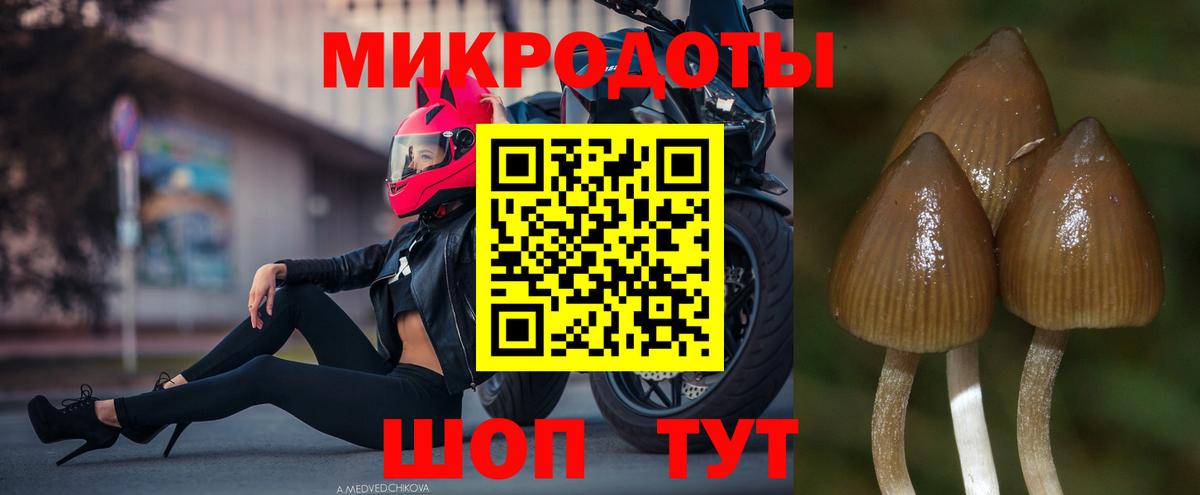 Галлюциногенные грибы прущие грибы Симферополь